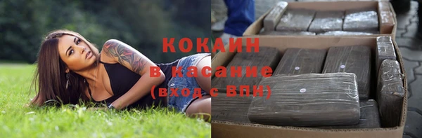 соль ск Алексин