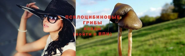 скорость Алзамай
