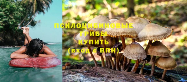 соль ск Алексин