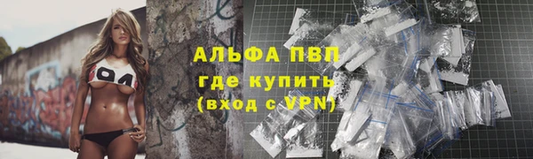 СК Аркадак