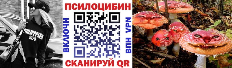 Псилоцибиновые грибы мухоморы цена наркотик Баймак